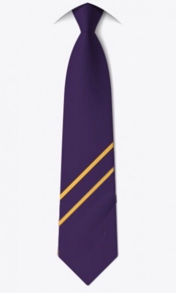 FBA YEAR 11 TIE, Frances Bardsley