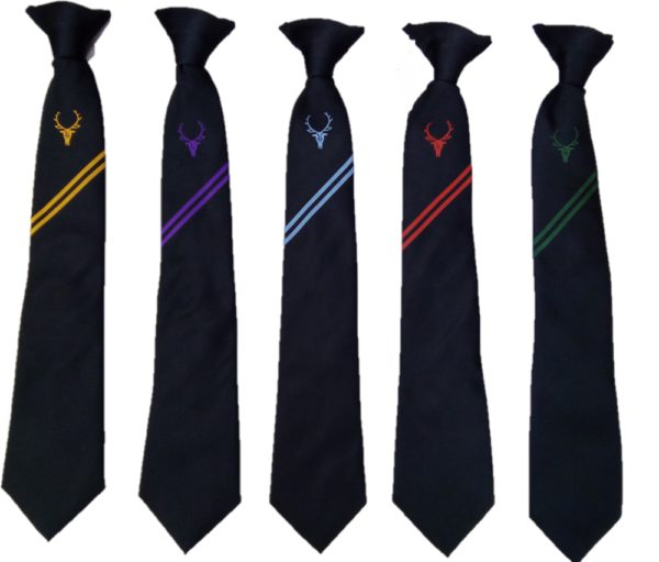 BOWER PARK ACADEMY TIE, Bower Park