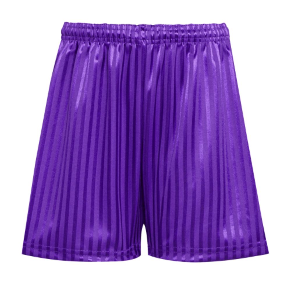 SHADOW STRIPE SHORTS - PA, PE Shorts