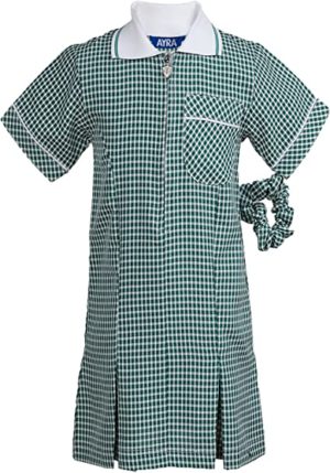 SUMMER DRESS GINGHAM - BOTTLE, Ardleigh Green, Scotts, St Alban's, Suttons, St Peters Romford, Summer Dresses, Benhurst, Harold Wood Primary, Hacton Primary