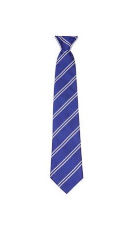 TOWERS TIES YEARS 5 & 6, Towers