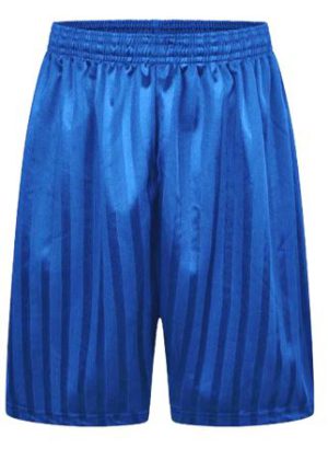 Junior Shadow Stripe Shorts - Royal, St Mary's Hornchurch, PE Shorts, Branfil, Hylands, Langtons Infant