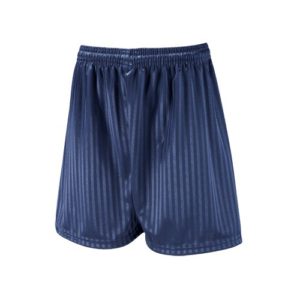 SHADOW STRIPE SHORTS - NAVY, St Edward's Senior, Ursuline Preparatory, PE Shorts