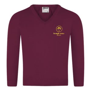 SCARGILL JUNIOR V NECK JUMPER, Scargill Junior