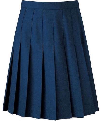 STITCHED DOWN KNIFE PLEAT SKIRT - NAVY. SEE NOTE, Sacred Heart, St Edward's Senior, Skirts & Pinafores, Hornchurch High