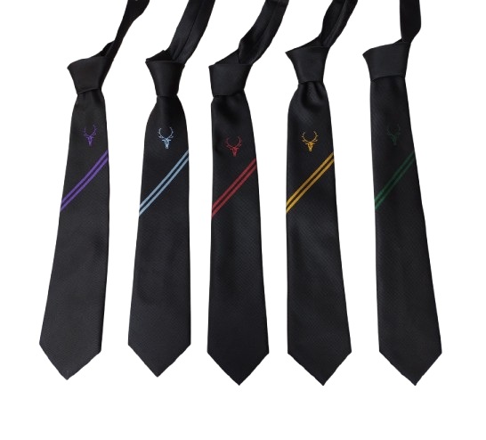 BOWER PARK ACADEMY TIE, Bower Park
